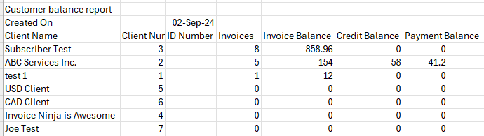 Customer balance report